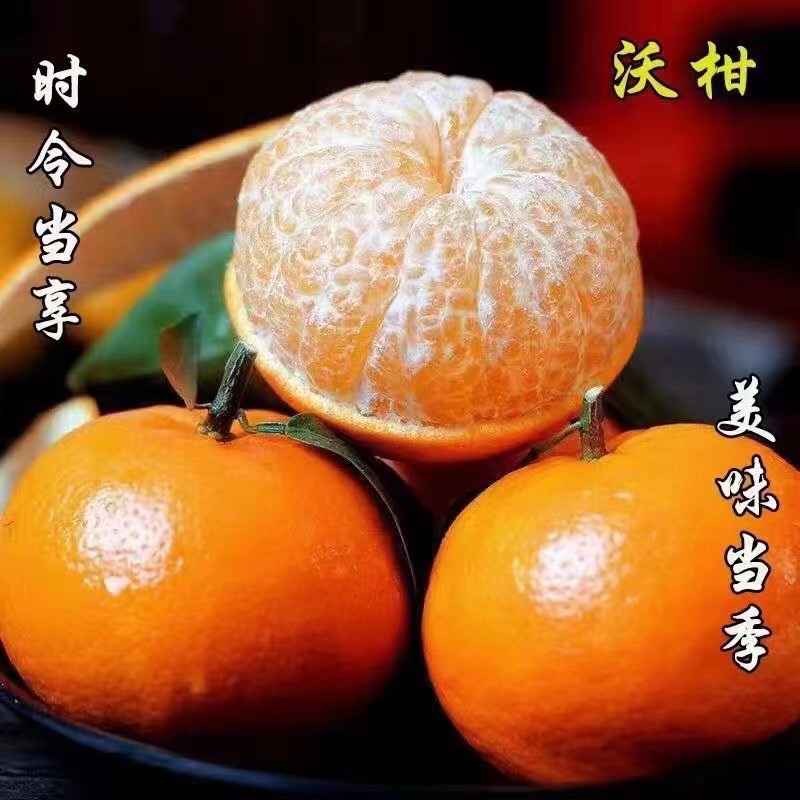 10斤装新鲜采摘甜水果贵州罗甸纯甜沃柑桔子老人孕妇爱吃皇帝贡橘