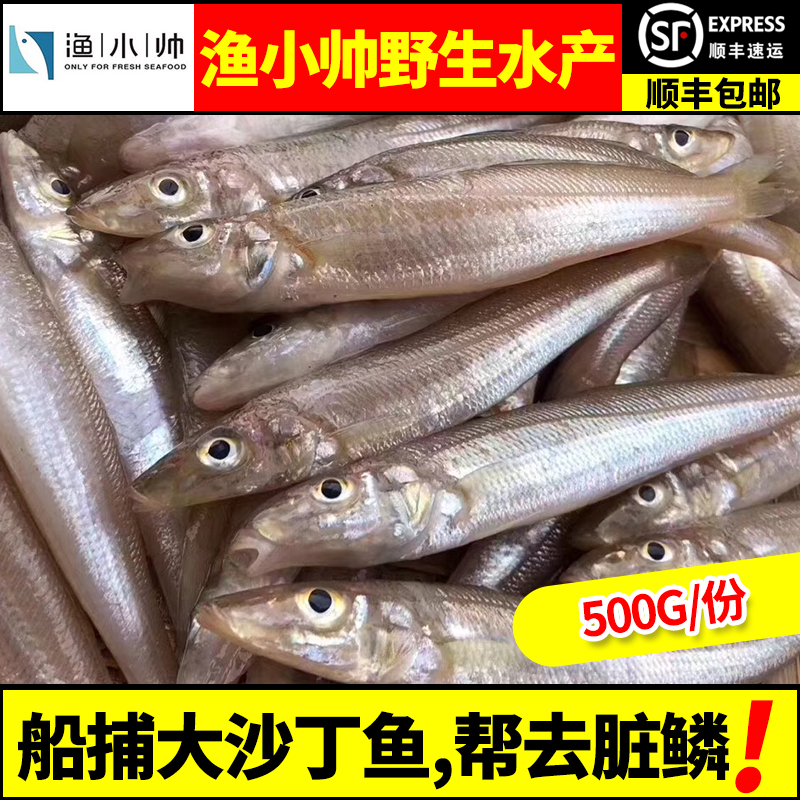 新鲜沙丁鱼 野生深海鱼4斤包邮 水产鲜活沙甸鱼 沙尖鱼做宝宝辅食