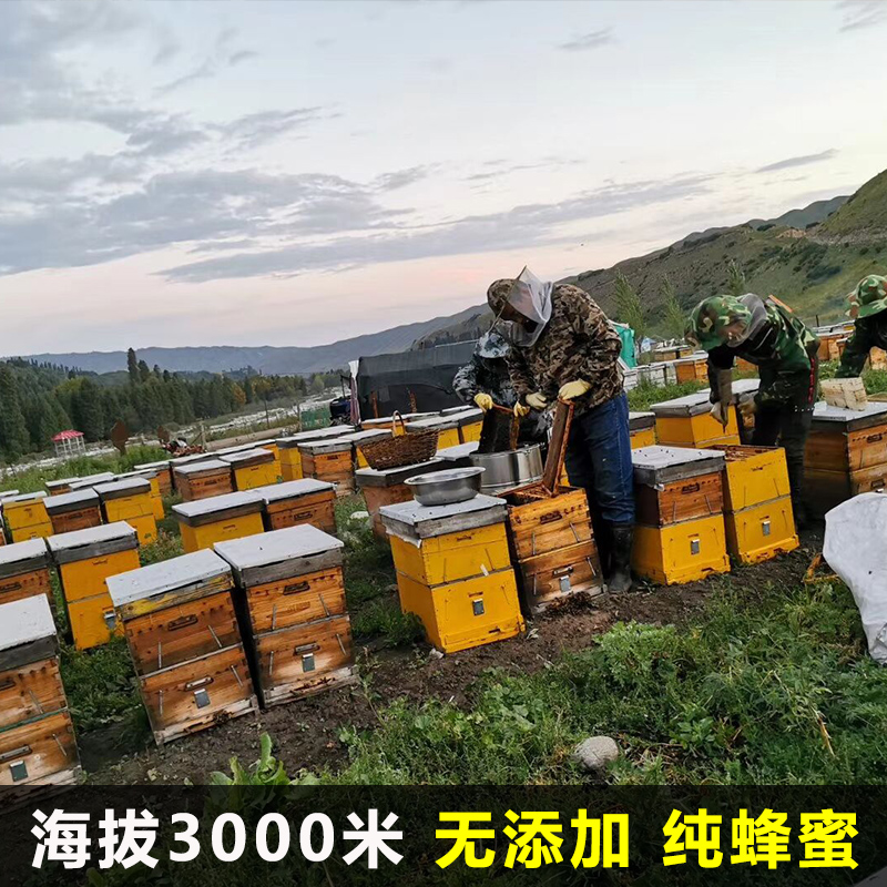 蜂蜜纯正土蜂蜜农家自产正宗新疆黑蜂孕妇成熟结晶金沙蜜1斤装