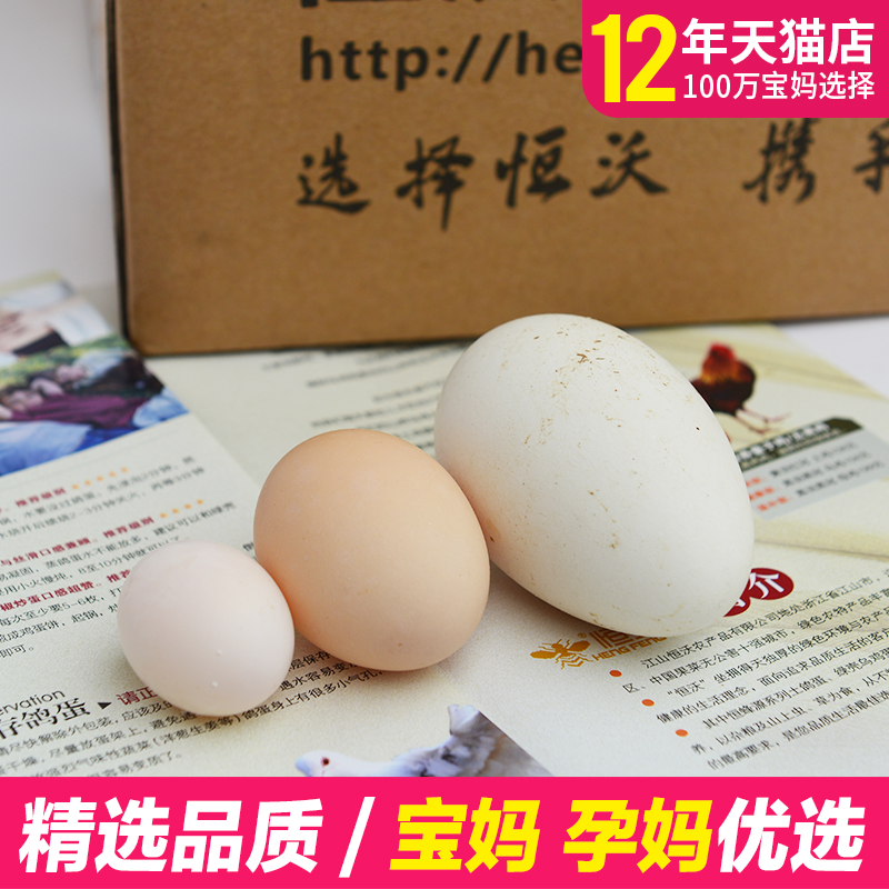 农家散养土鹅蛋12枚恒沃优选生鹅蛋大新鲜萌妈推荐孕妇产妇食材
