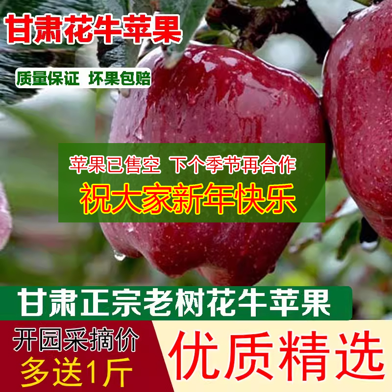 甘肃礼县新鲜花牛苹果10斤大果刮泥粉面香甜苹果孕妇水果苹果水果