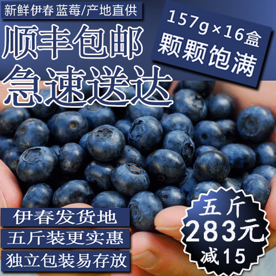 顺丰空运新鲜蓝莓鲜果当天现摘现发孕妇应季水果2500g大果包邮