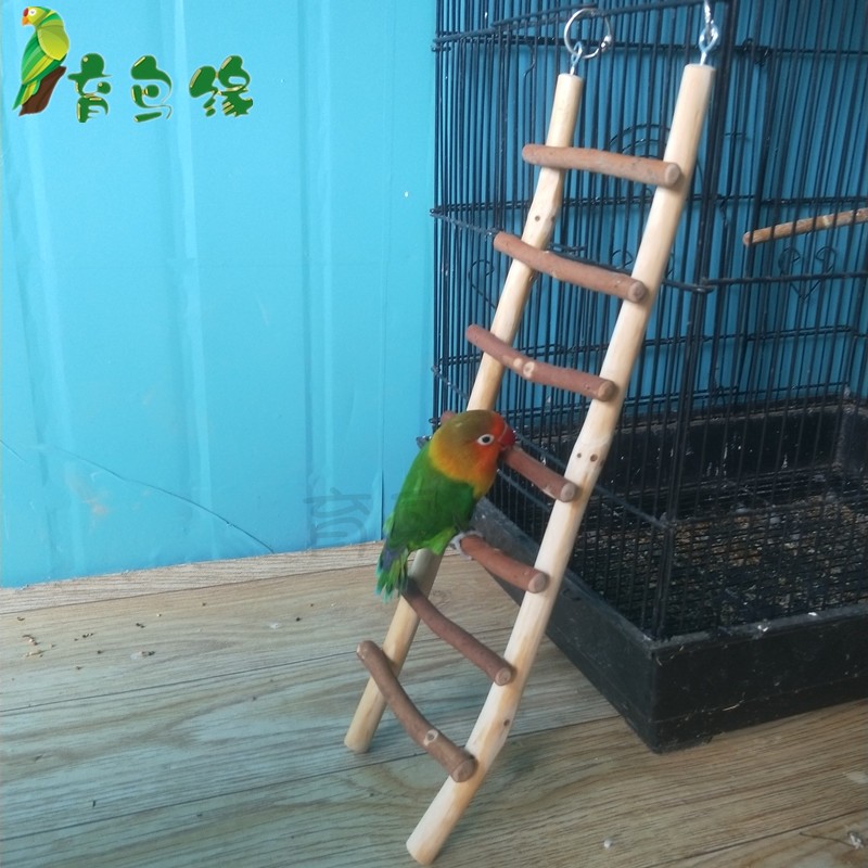 鹦鹉攀爬梯实木梯子游戏木梯云梯宠物大型爬梯鸟玩具鸟用品栖息