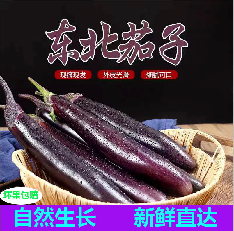 东北茄子农家新鲜应季蔬菜面包茄子酱茄子黑长小茄子紫库茄子生吃