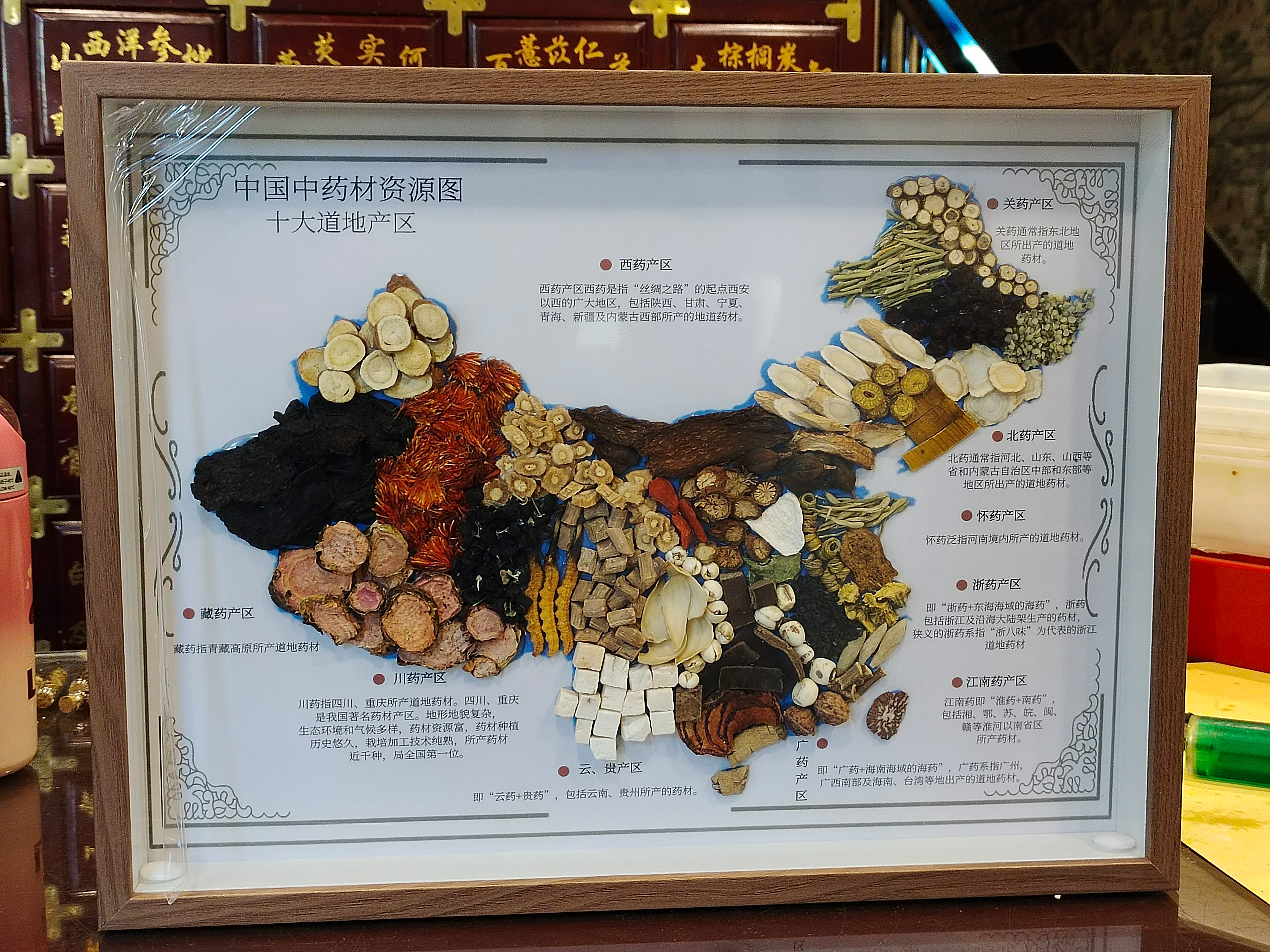 中国地区药材分布图中药标本装饰挂画中医文创产品 创意产品
