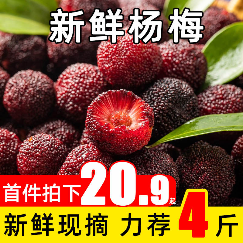 新鲜小杨梅贵州现摘本地泡酒孕妇酸甜水果当季时令杨梅4斤3整箱