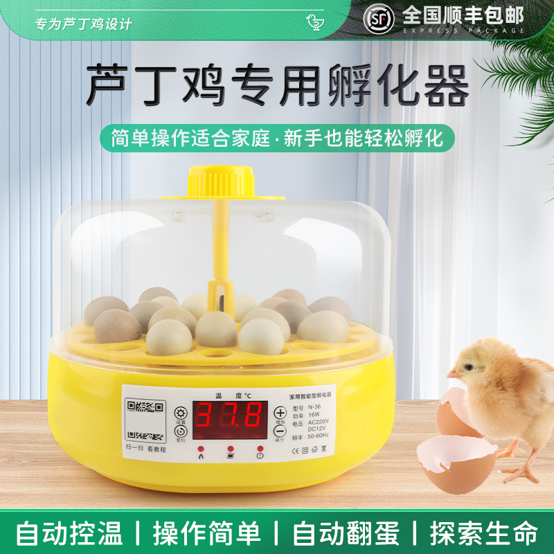 芦丁鸡孵化器小鸡孵蛋器小型家用儿童孵化机受精蛋水床全自动孵化