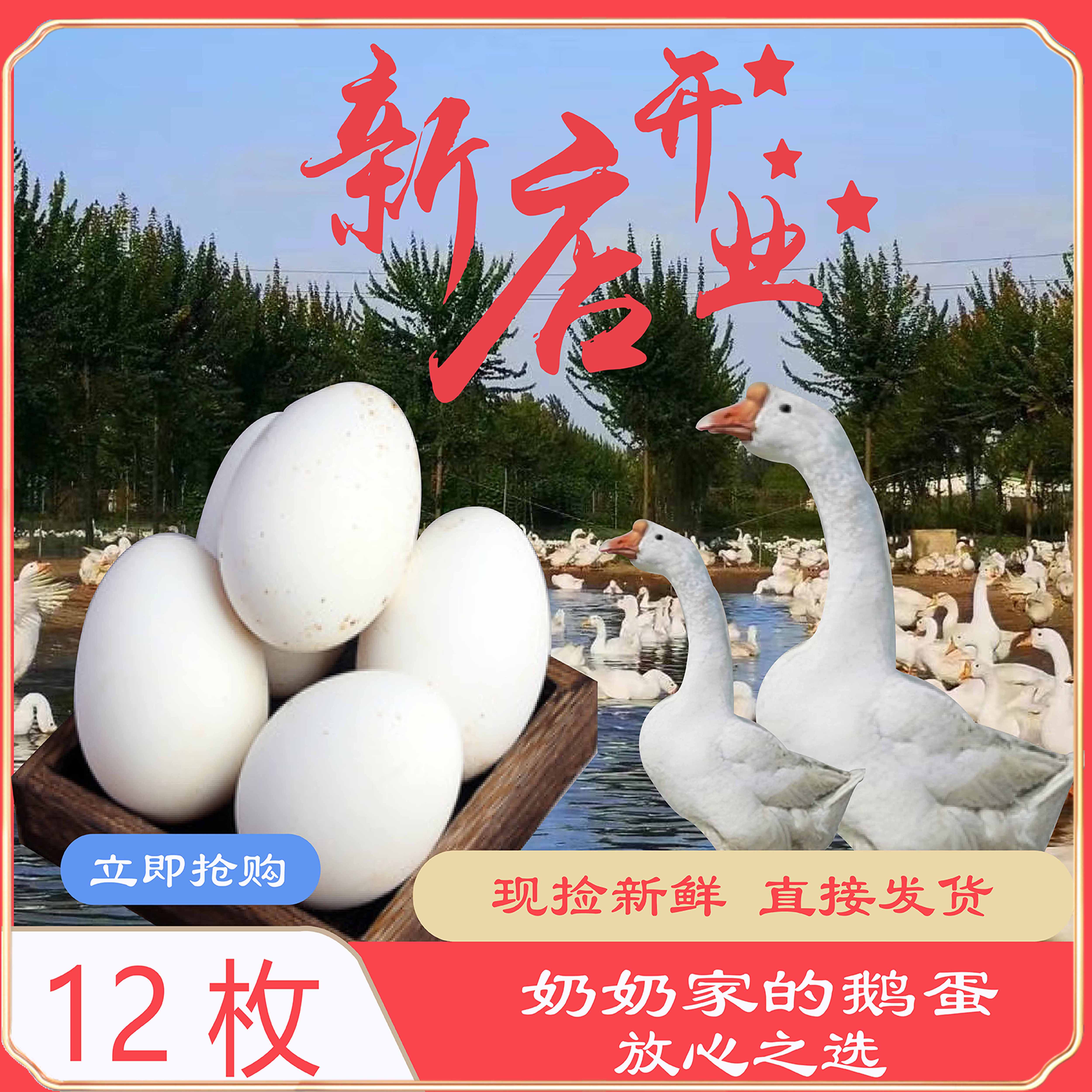 鹅蛋散养新鲜鹅蛋农家正宗土鹅蛋孕妇生鹅蛋大个鹅蛋12枚促销包邮