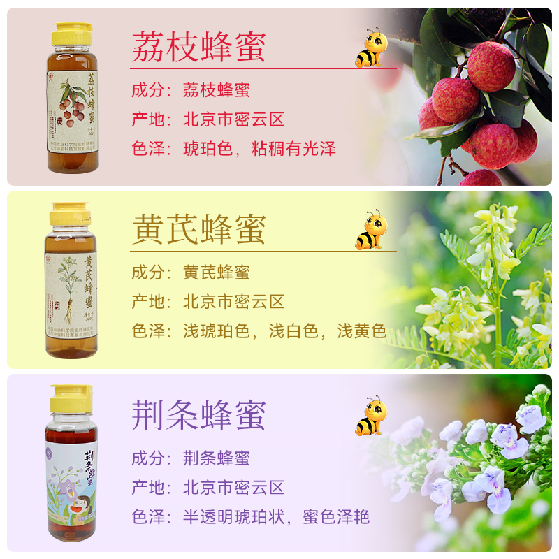 中国农科院蜜蜂研究所华兴荔枝黄芪荆条蜂蜜挤压瓶蜂蜜便捷