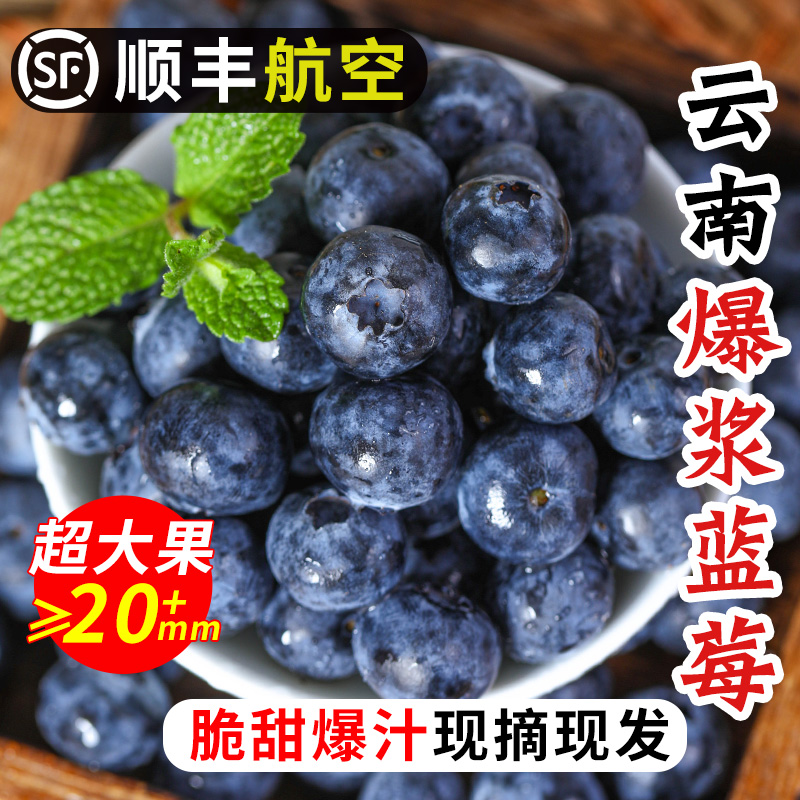 【顺丰空运】云南蓝莓鲜果当季现摘现发孕妇水果宝宝辅食蓝梅新鲜