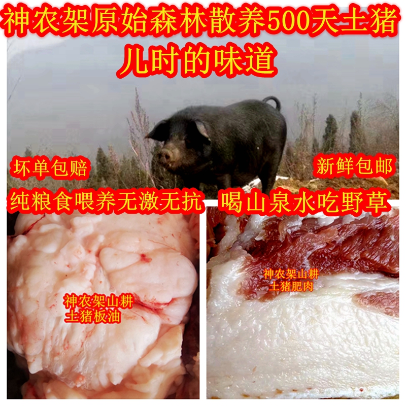 长寿村农家土猪板油老品种土猪纯粮食喂养孕婴童肥肉新鲜包邮