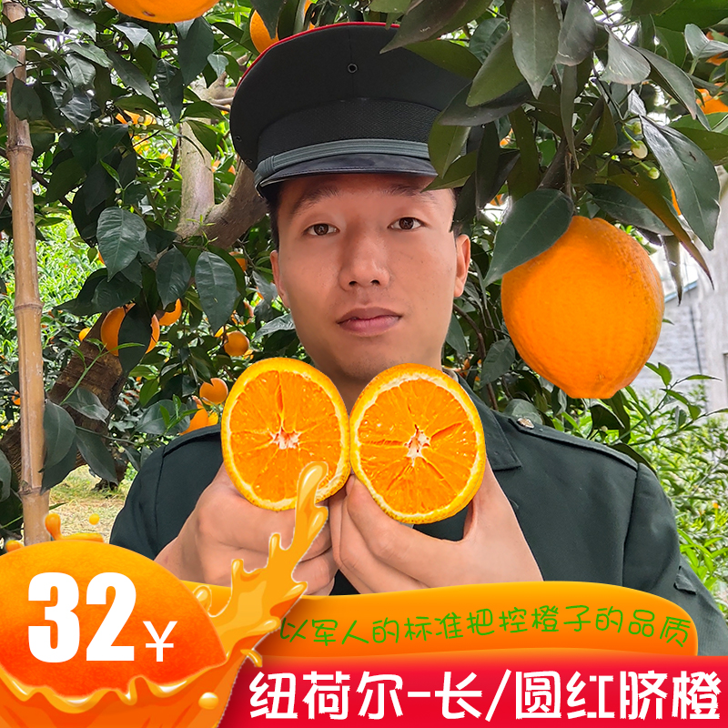 纽荷尔橙子秭归脐橙子新鲜10斤j精品大果自家种植现摘整箱水果