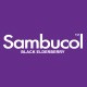 Sambucol保健品海外保健食品厂