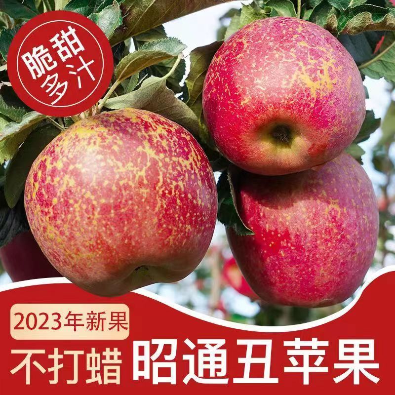 【超低价】正宗云南丑苹果脆甜新鲜红富士冰糖心苹果水果批发整箱