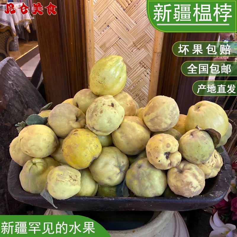 2023 年新鲜榲桲10斤新疆特色温桲 水果之皇万寿瓜榅桲新疆木瓜