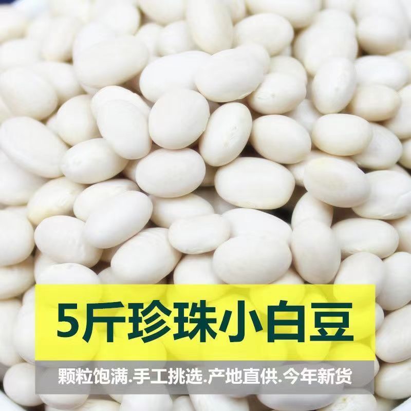 云南珍珠豆  新货 农家自种小白芸豆 小白豆 煲汤打豆浆