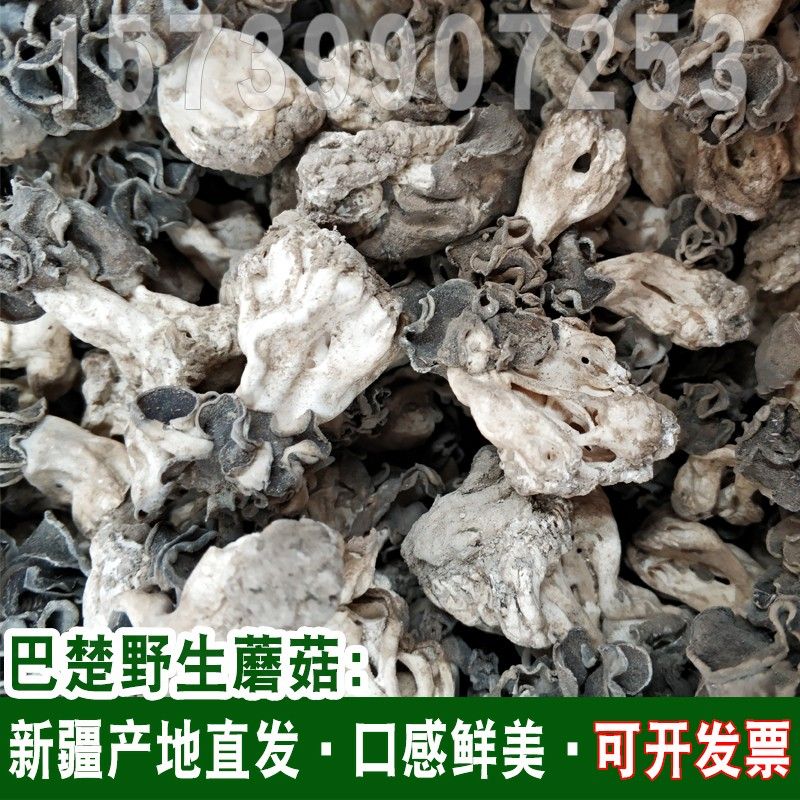 新货巴楚菇100g 新疆巴楚野生蘑菇干食用菌香菇胡杨林皱柄羊肚菌.