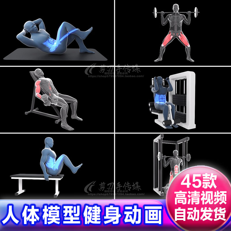 3D人体模型健身器材有氧运动 锻炼肌肉训练演示模拟动画视频素材