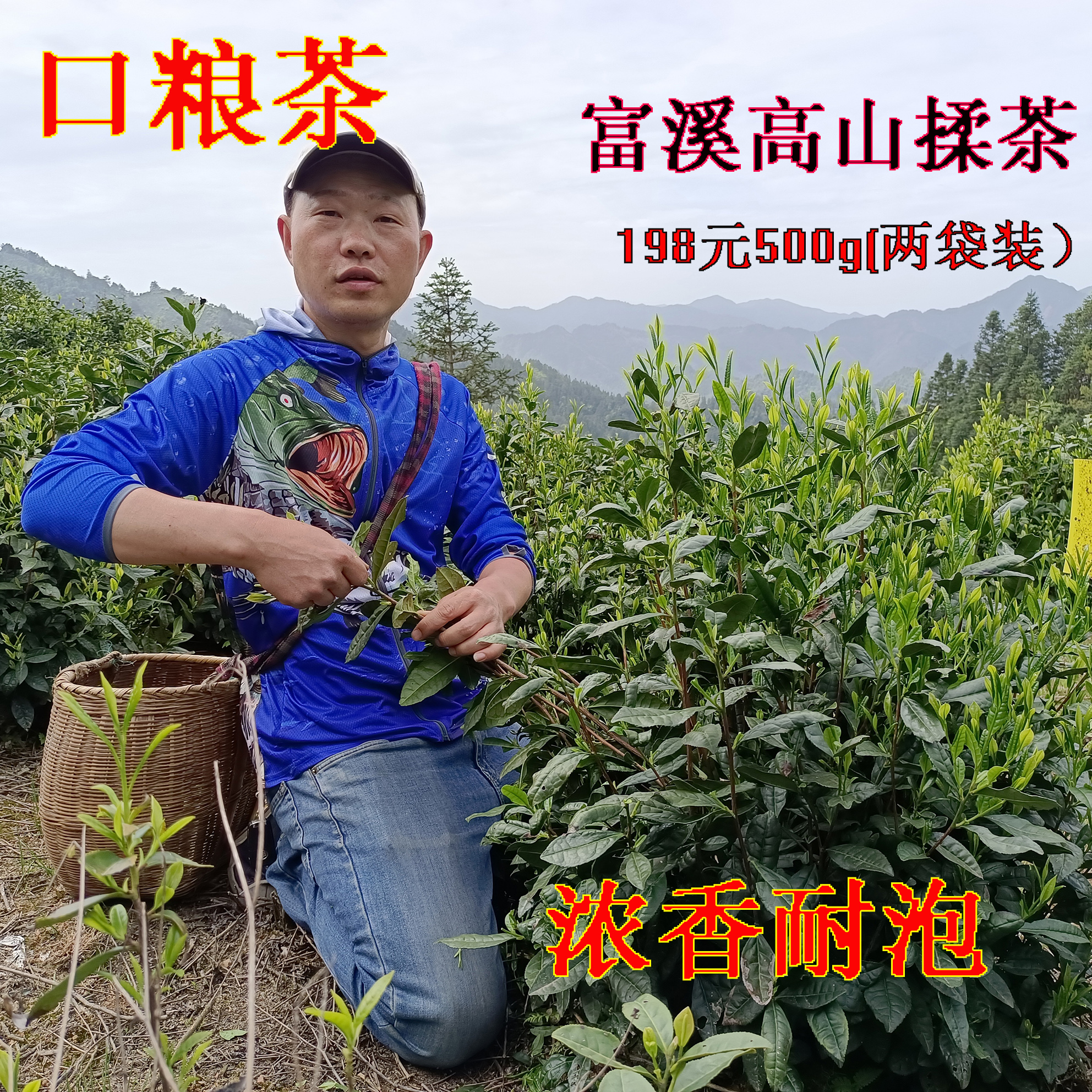 2024年新茶 188元 500g 黄山毛峰 富溪  揉制 口粮茶（两袋包装）