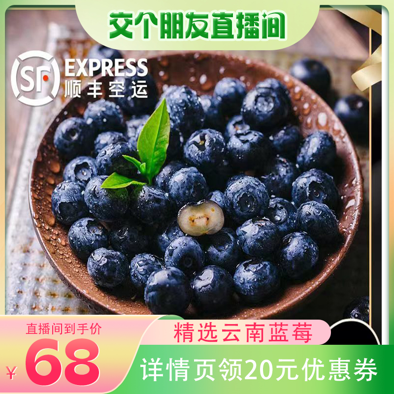 【交个朋友】云南新鲜脆甜花香高山蓝莓大果鲜果当季现摘孕妇水果