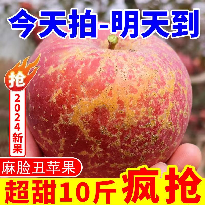 【特级】丑苹果冰糖心大凉山四川新鲜水果当季脆甜红富士整箱