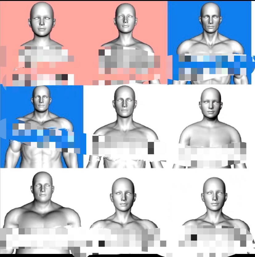 【csp模型】12种人体绘画模型 4女8男 一个clip源文件只能csp用