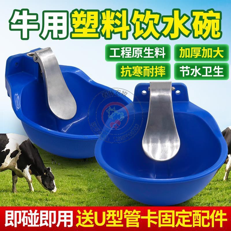 牛用饮水碗饮水槽 加厚饮水槽喂水碗养殖设备自动喂水器喝水碗