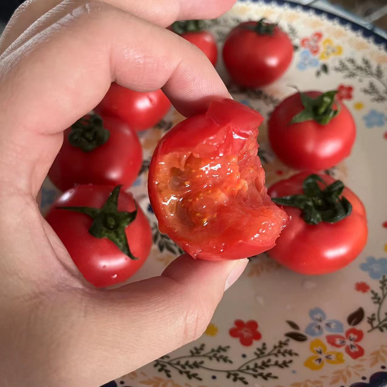 【顺丰空运】喀什红番茄 儿时味道！酸甜多汁！新疆佳景小西红柿