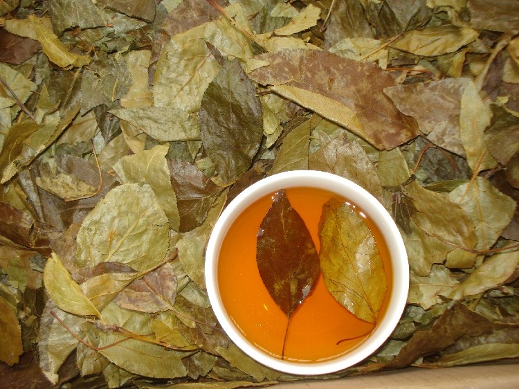 神农架宜昌三皮罐茶叶花红茶500克湖北凉茶海棠叶三匹罐大叶粗茶
