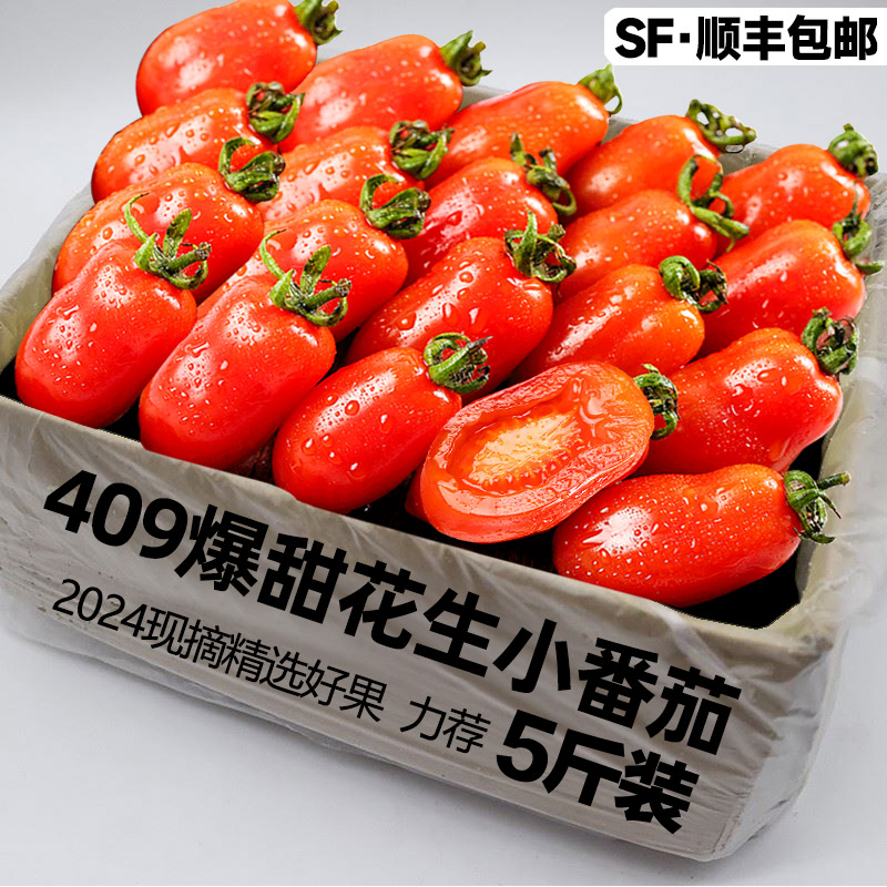 丹东409柿子现摘花生草莓碱地小柿子圣女果小番茄孕妇水果顺丰5斤