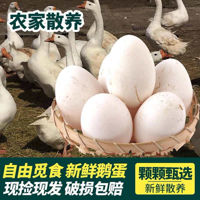 【买6送6】新鲜12枚散养鹅蛋农家散养土鹅蛋现捡发孕妇健康营养