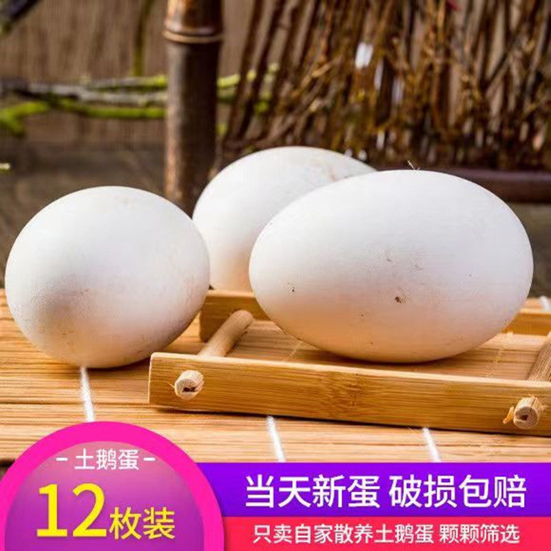鹅蛋散养12枚新鲜鹅蛋农家正宗土鹅蛋孕妇生鹅蛋初产鹅蛋促销包邮
