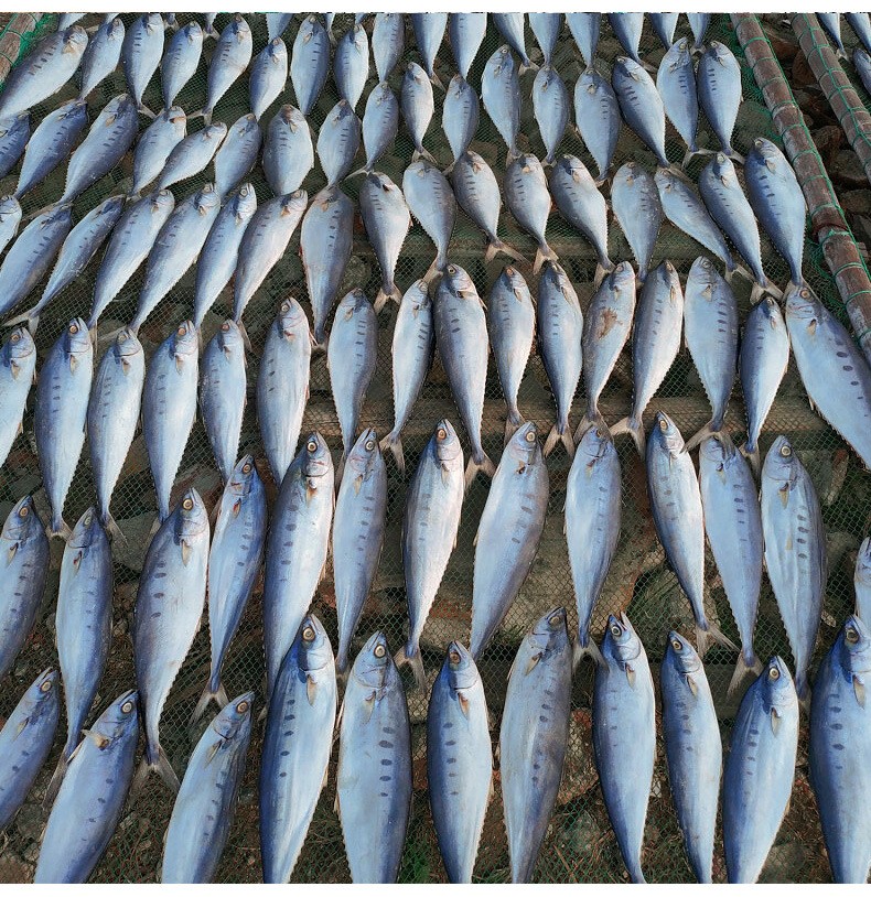 渔民自晒新鲜鲅鱼干水产干货马鲛鱼干 500g农家咸鱼干海产海鲜干