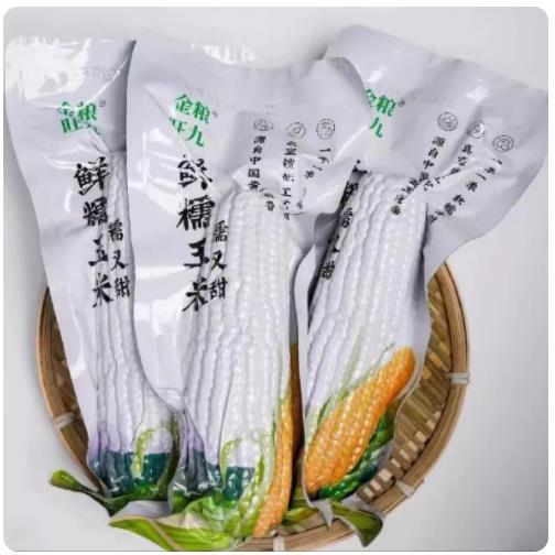 【金粮旺九】白糯玉米260g-300g铝箔包装软糯香甜玉米10根粘糯玉