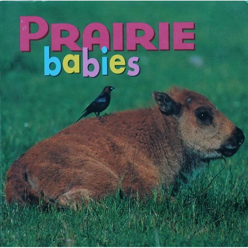Prairie Babies by Kristen McCurry木板书Cooper Square Publishing Llc草原宝宝