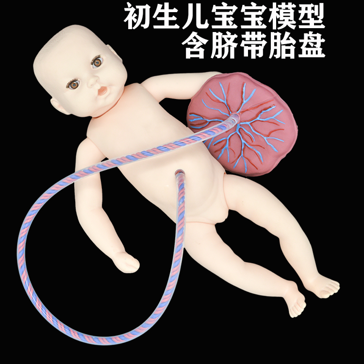 妇幼医院产科初生儿宝宝护理模型带脐带胎L盘新生儿娃娃可洗澡抚