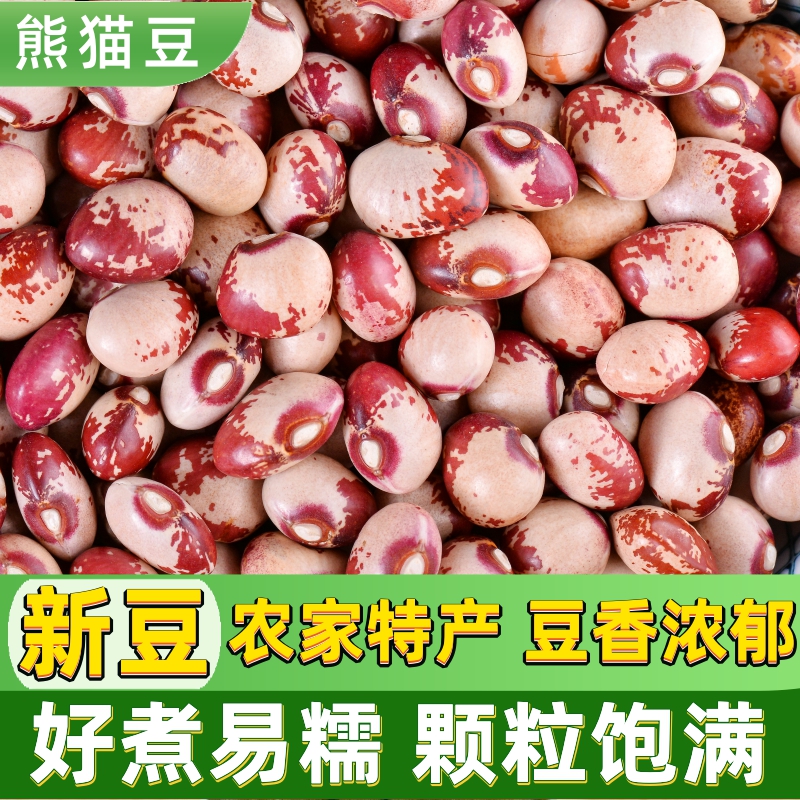 云南熊猫豆5斤女性常吃饭豆花豆子类五谷杂粮芸豆米小红腰豆新货