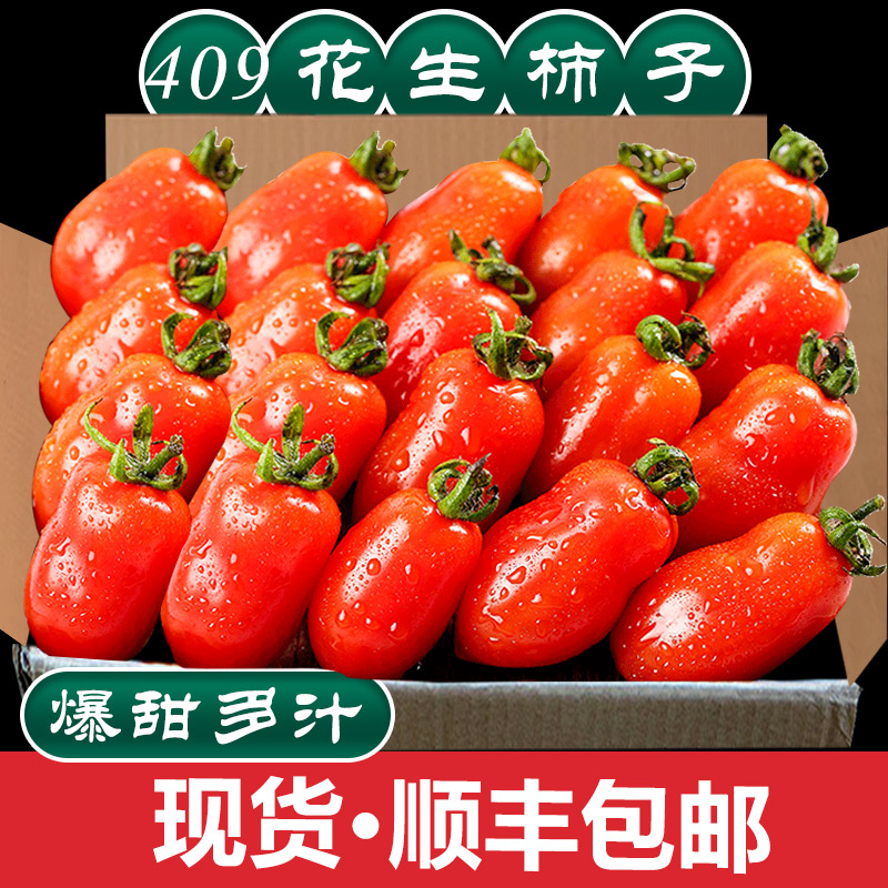 丹东409小柿子非千禧圣女果孕妇新鲜水果蔬菜铁皮草莓花生小番茄