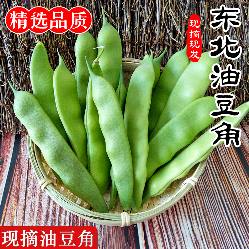 东北油豆角农家新鲜蔬菜特产九月青开锅烂现摘非一点红豆角包邮9