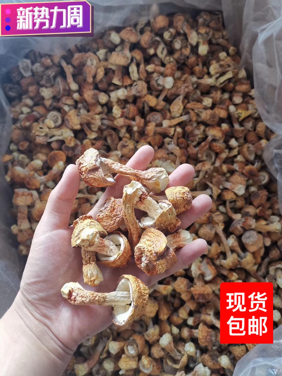 姬松茸干货特产非鲜货红烧煲汤补品鲜美精选松茸菇巴西菇250g包邮