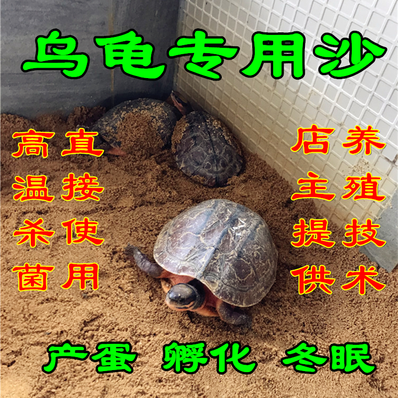 纯天然红土细土陆龟乌龟用品冬眠产蛋高温杀菌消毒营养生蛋孵化沙