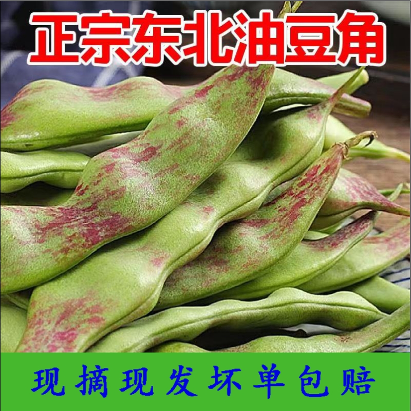 新鲜东北油豆角农家蔬菜特产九月青开锅烂现摘自种一点红芸豆角