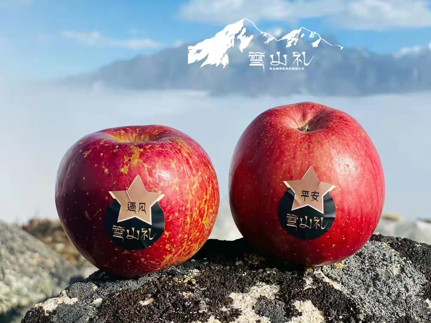 当季高原藏区雪山冰糖心苹果 孕妇水果 好吃得很