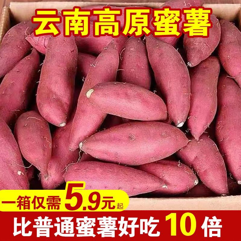 正宗云南高山西瓜红蜜薯10斤新鲜番薯沙地农家自种地瓜板栗红心薯