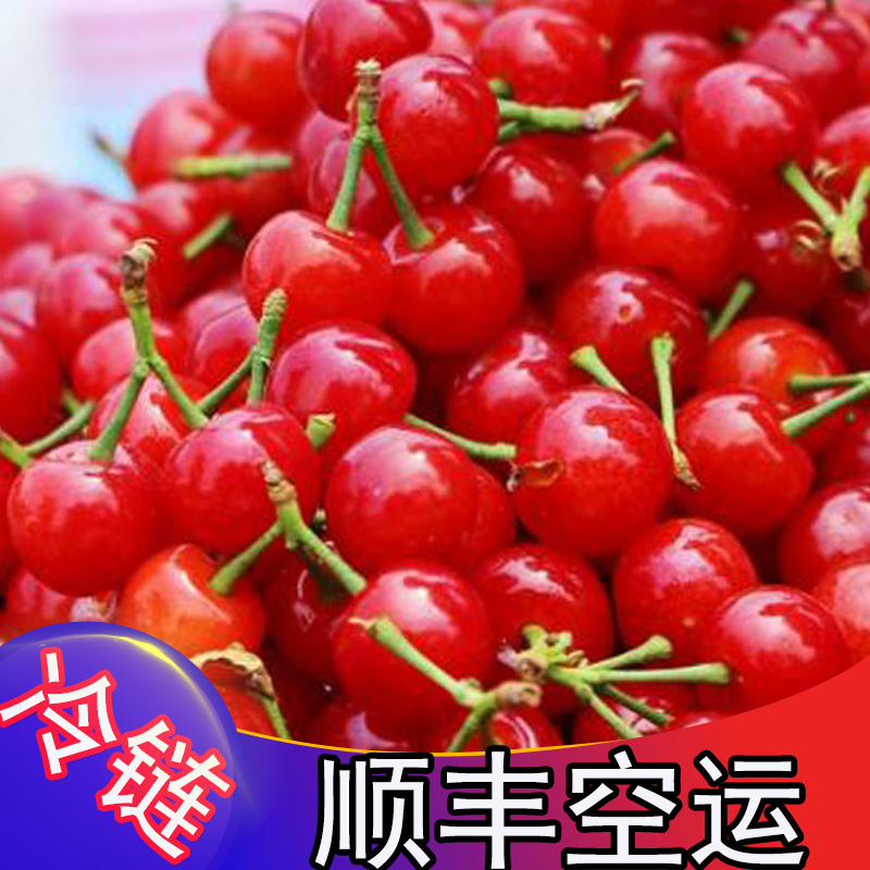 贵州小樱桃新鲜水果玛瑙红孕妇水果土樱桃现摘现发国产非四川米易