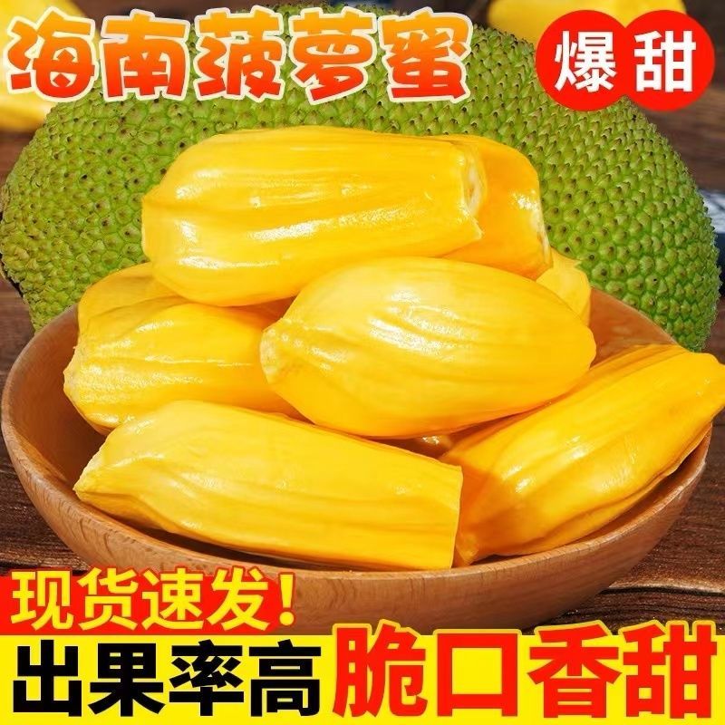 《10-29斤》海南干包黄肉菠萝蜜一整个新鲜孕妇水果当季特产包邮