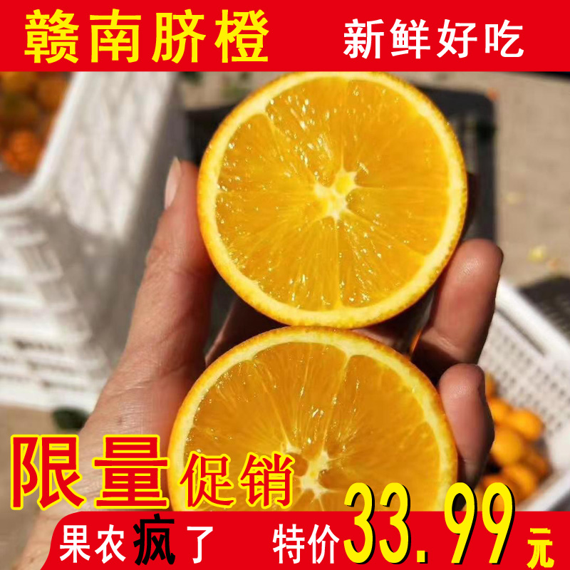 赣南脐橙10斤 果园直供 新鲜水果 现摘现发 纯绿色食品 一件代发