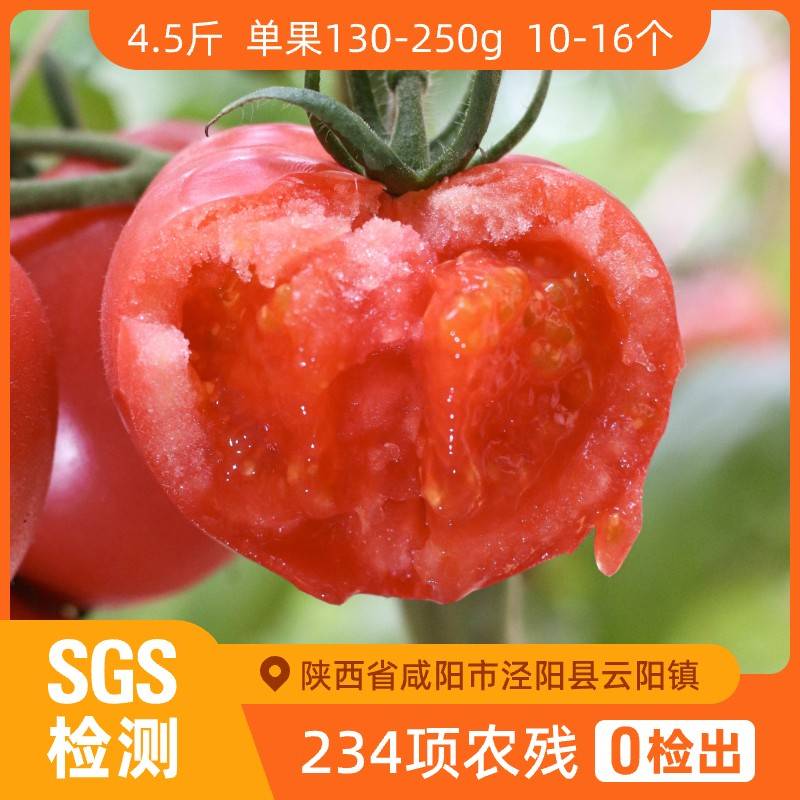 辰颐物语爱琴海番茄自然熟西红柿5斤新鲜沙瓤大番茄生吃水果柿子