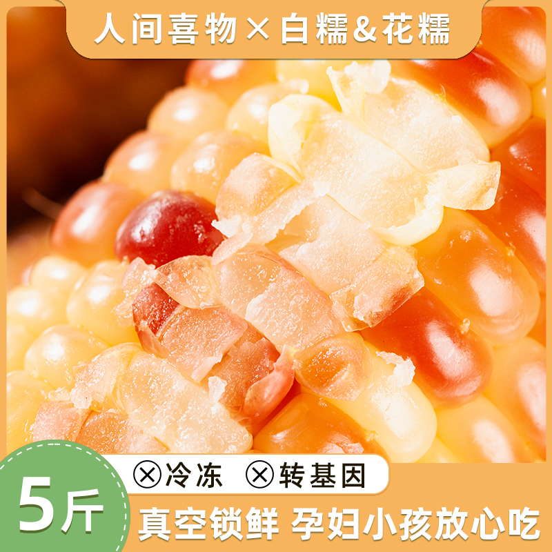 云南西双版纳小花糯玉米即食新鲜甜糯包谷真空包装小玉米粗粮代餐