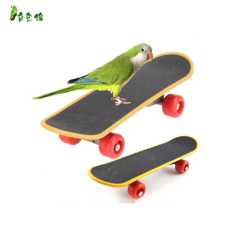 鹦鹉迷你滑板 滑轮宠物益智玩具 育鸟缘托盘轮子站架底座脚垫滑轮